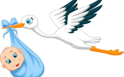 Der Storchen-Klub (Stork-Club)