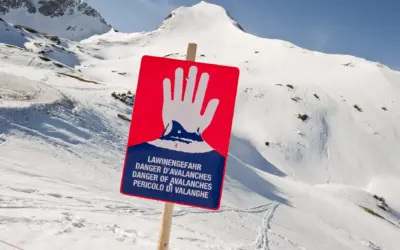 Lawinenwarndienst des Landes Niederösterreich